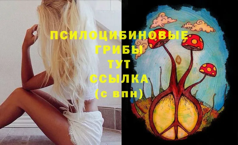 Галлюциногенные грибы GOLDEN TEACHER  Невинномысск 